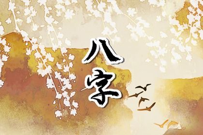 如何看婚姻信息