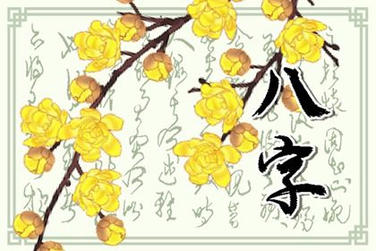 案例看节气附近争议