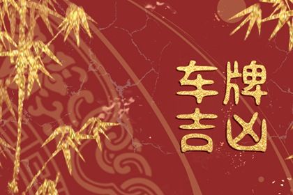 数理表怎么看