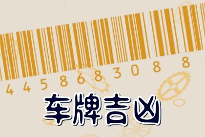 车牌基础注意点
