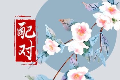 命婚姻正缘,婚姻占卜术,新婚姻法,命婚姻配对免费,测婚姻感情