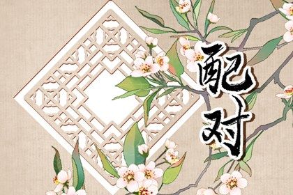 婚姻打分,婚姻查询,婚姻相合