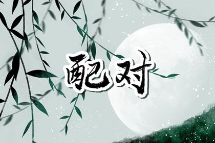 纳音相生配对