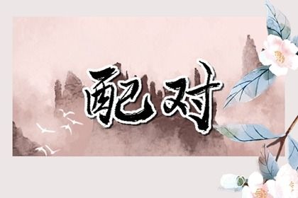 婚姻打分,婚姻查询,婚姻相合