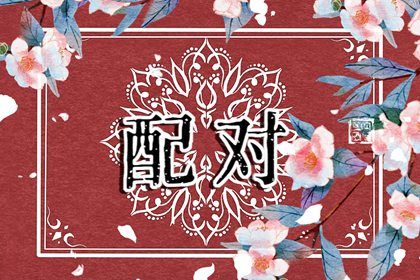 分数低的相处建议