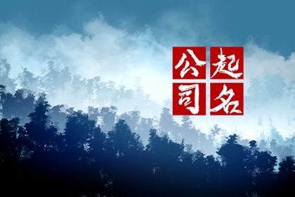 字号与行业词的搭配