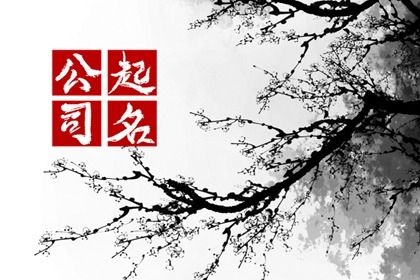 公司名能不能用数字