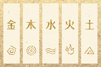 如何高效使用查询工具