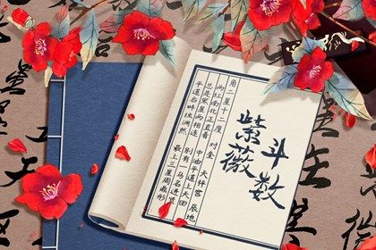 为什么结果只能参考