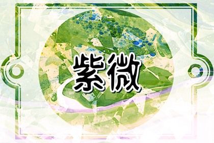 宫位与地支怎么对应