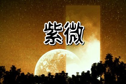 排盘中的月令重要吗