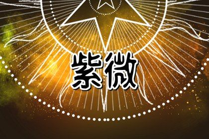 在线查询适合谁